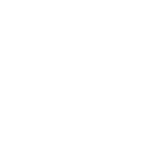 The Pillars of Success A Blueprint for Your Financial Security